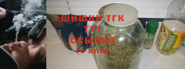 крисы Верхний Тагил